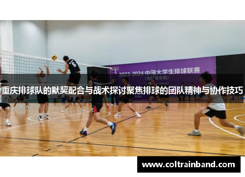 重庆排球队的默契配合与战术探讨聚焦排球的团队精神与协作技巧