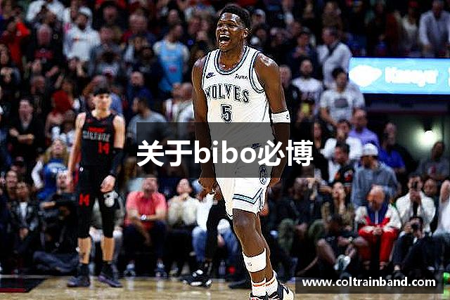 关于bibo必博